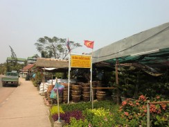 Красные флаги с серпом и молотом в Лаосе