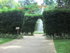 Maruekkataiawan (Mrigadayavan) Palace - парк