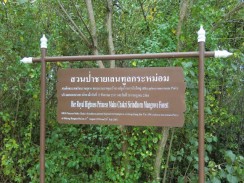 Мангровый лес в Sirindhorn International Environmental Park