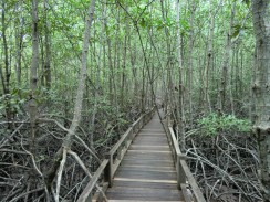 Национальный парк Pranburi Forest Park