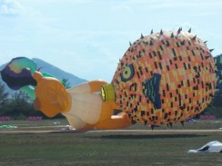 Международный фестиваль воздушных змеев в Ча-аме