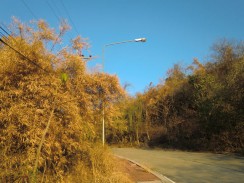 Золотая осень в Хуа Хине