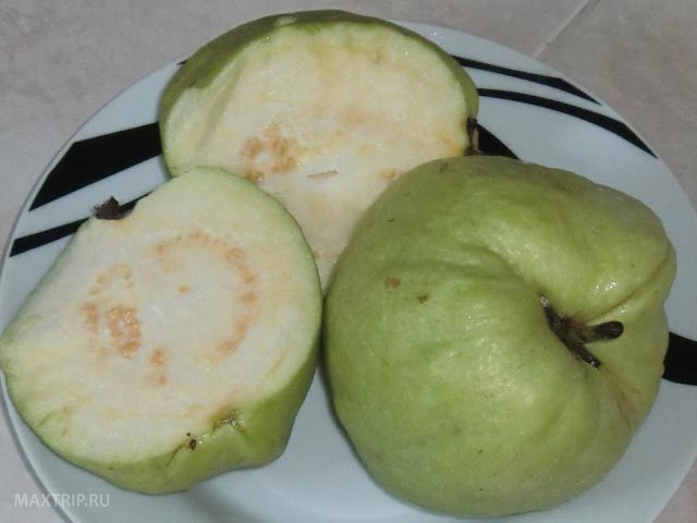 Экзотические фрукты Таиланда - гуава