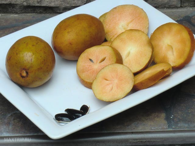 Экзотические фрукты Таиланда - слива саподилла